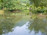 栗木清水鱼仔63 / 作者:涛``声依旧 / 帖子ID:56808