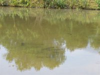 栗木清水鱼仔7 / 作者:涛``声依旧 / 帖子ID:56808