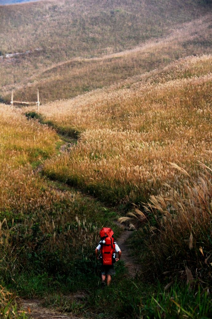 再走燕子山，  用脚步感受深秋的童话。。。。。。897 / 作者:人在旅途888 / 帖子ID:56841