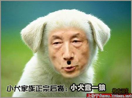 汪汪—小百科728 / 作者:bps55555 / 帖子ID:56905