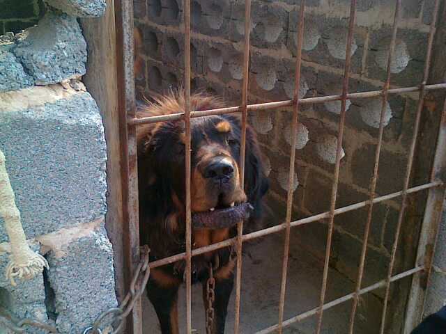 幸好是关着的挺吓人的35 / 作者:珍惜 / 帖子ID:57281