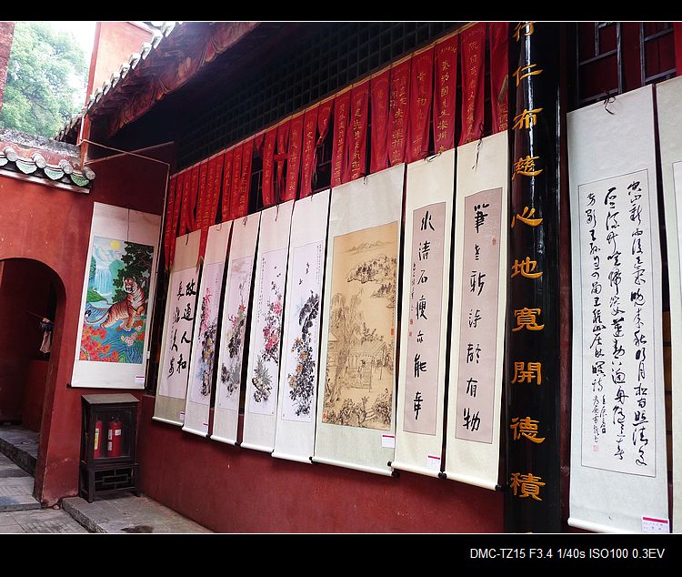 我县举办12县及江永书画联展。339 / 作者:平安大叔 / 帖子ID:57388