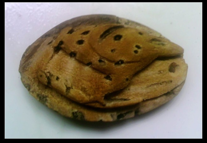 好拉风，你们就羡慕嫉妒恨吧701 / 作者:排散 / 帖子ID:57456