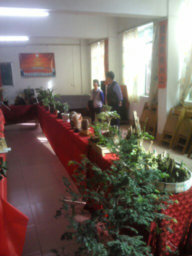 观恭城老年大学书画奇石展280 / 作者:大叔快乐 / 帖子ID:57504