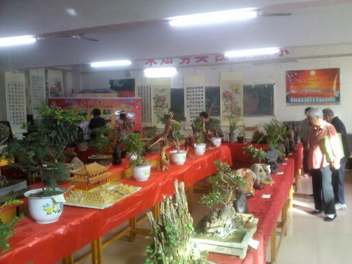 观恭城老年大学书画奇石展7 / 作者:大叔快乐 / 帖子ID:57504