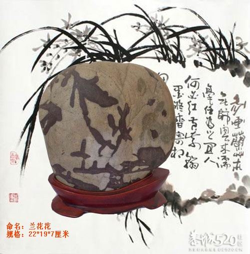 画面石--兰花花787 / 作者:hbk303303 / 帖子ID:57586