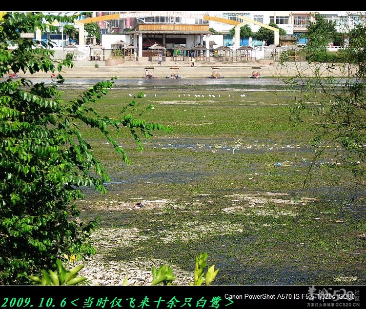 恭城滨江宛沿河可建一些“观鹭亭”109 / 作者:平安大叔 / 帖子ID:57592