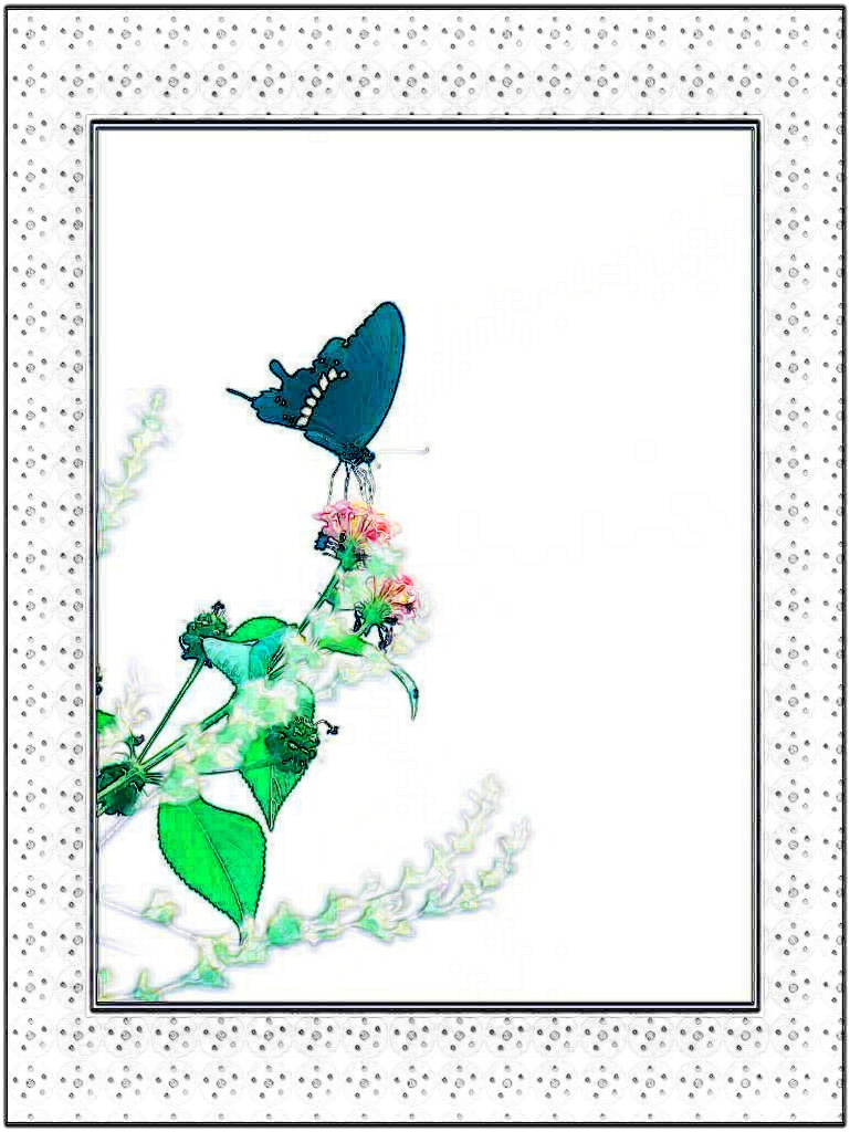 《蝶恋花》两幅890 / 作者:平安大叔 / 帖子ID:57564