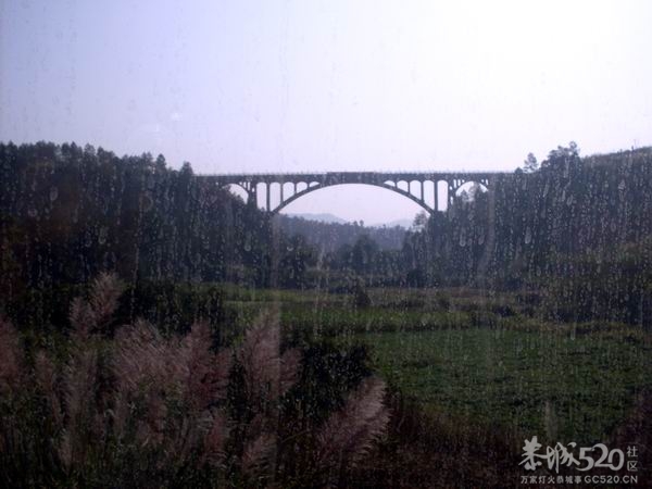 峻山水库建设四十周年庆典642 / 作者:hbk303303 / 帖子ID:57671