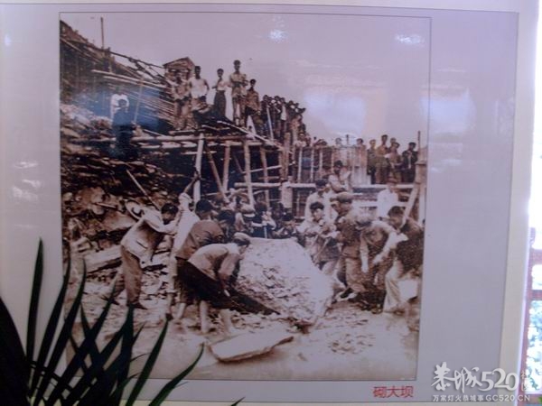 峻山水库建设四十周年庆典186 / 作者:hbk303303 / 帖子ID:57671