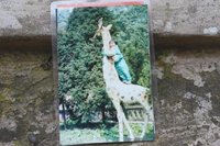 儿子掉河失踪死不见尸 15年后忽从英国致电父母984 / 作者:来打酱油滴 / 帖子ID:57696