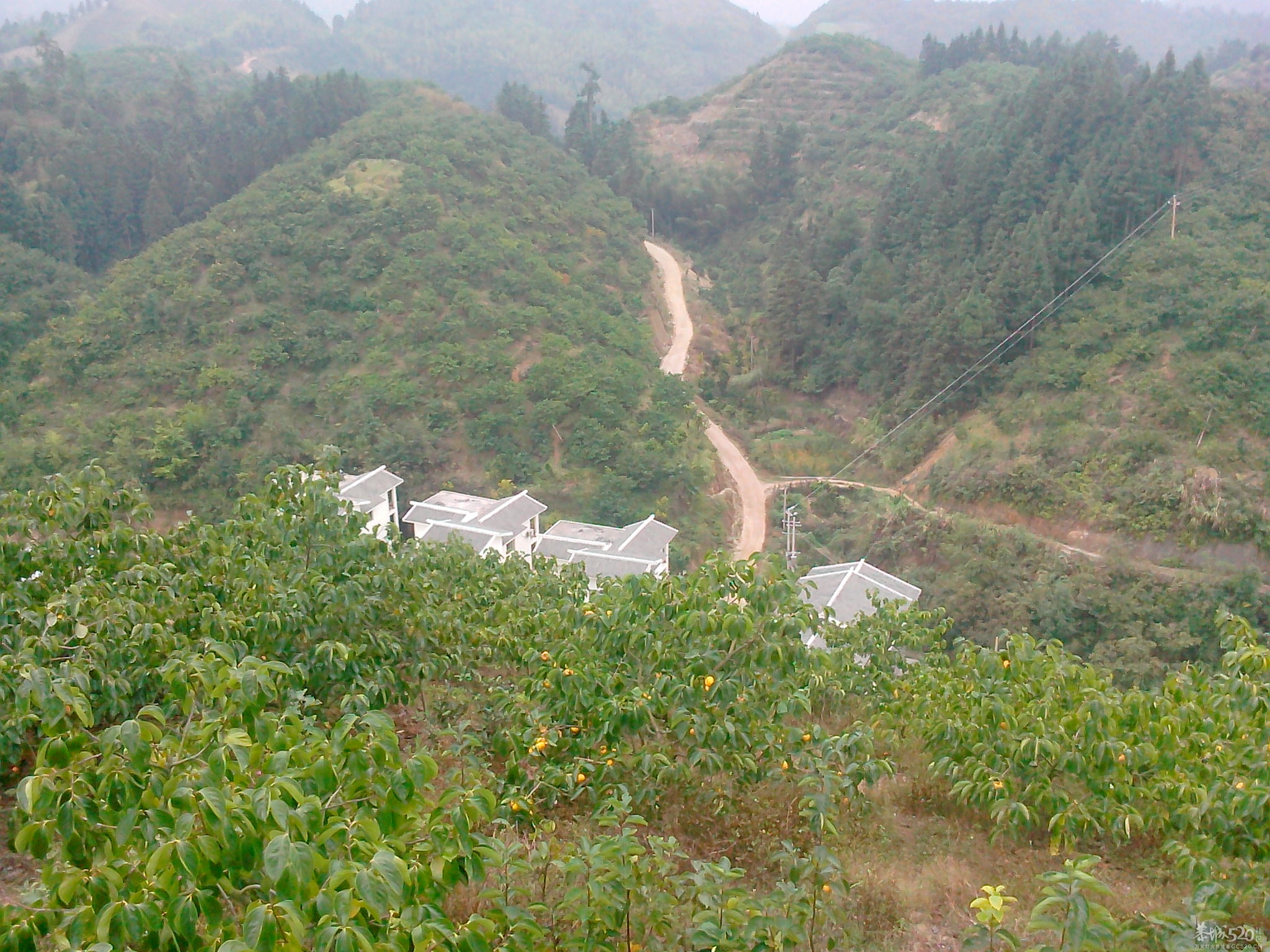 交友群活动黄竹岗一游691 / 作者:海子GG / 帖子ID:57716