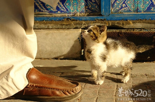 懒人的世界里到处弥漫着春天495 / 作者:好孩子 / 帖子ID:57734