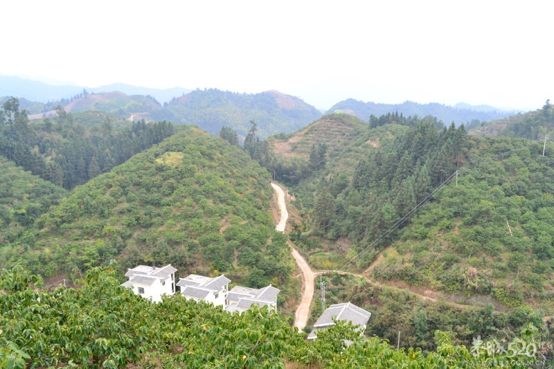恭城交友群游玩区散打冠军的家乡--恭城黄竹岗988 / 作者:海子GG / 帖子ID:57771