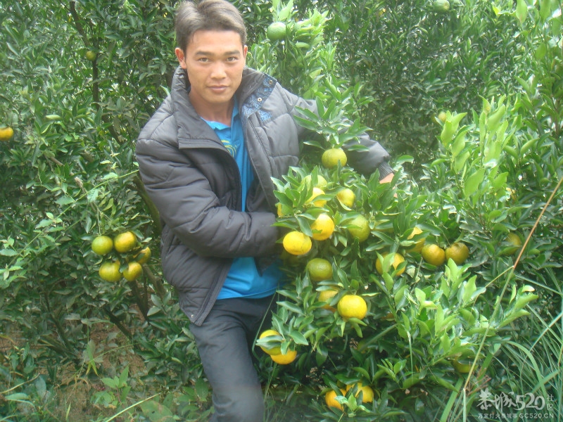恭城交友群游玩区散打冠军的家乡--恭城黄竹岗849 / 作者:海子GG / 帖子ID:57771