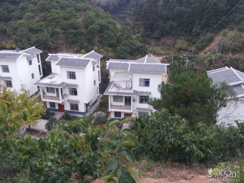 恭城交友群游玩区散打冠军的家乡--恭城黄竹岗618 / 作者:海子GG / 帖子ID:57771