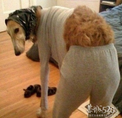 妈妈喊你回家穿秋裤728 / 作者:回眸一笑 / 帖子ID:57888