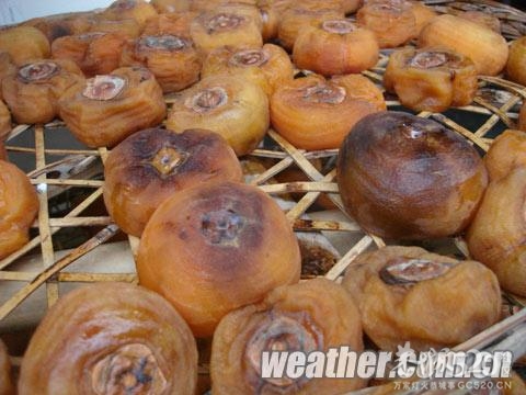 恭城持续阴雨天气 果农加强管理月柿291 / 作者:茶城路人 / 帖子ID:57909
