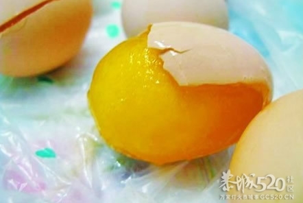 假鸡蛋来袭“像皮筋，嚼不烂”179 / 作者:回眸一笑 / 帖子ID:57920
