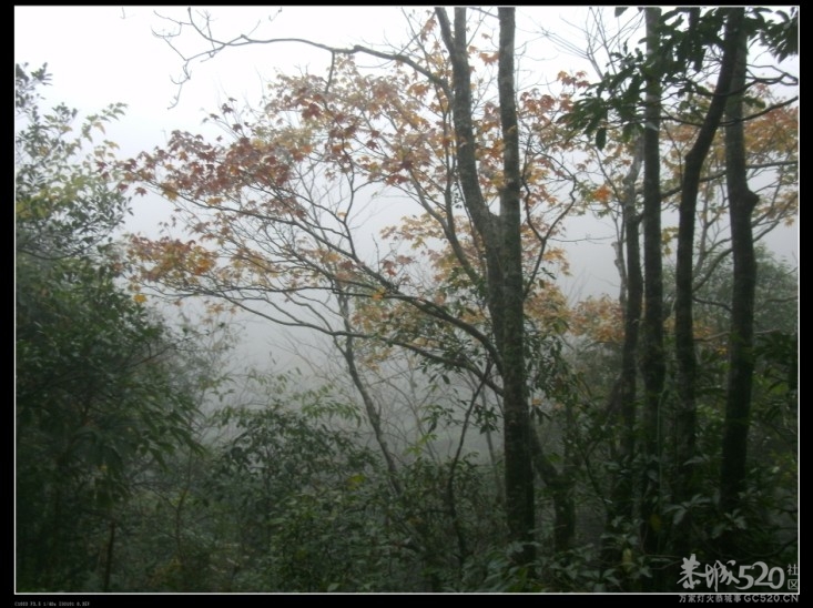 美丽大大明山，北回归线！游记！137 / 作者:小勇 / 帖子ID:58013