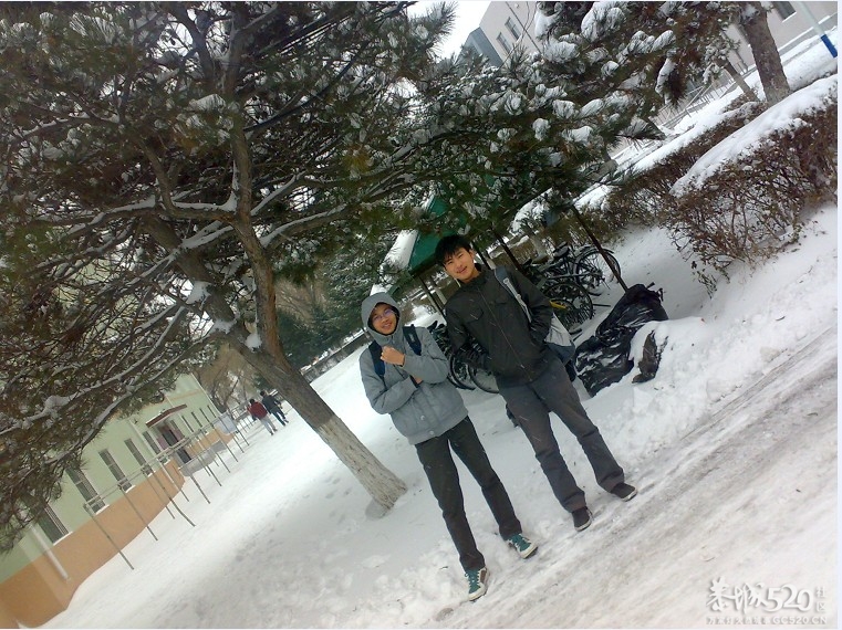 雪中P。。下了一天一夜的雪现在依然在下。。455 / 作者:马路桥~八区 / 帖子ID:58018