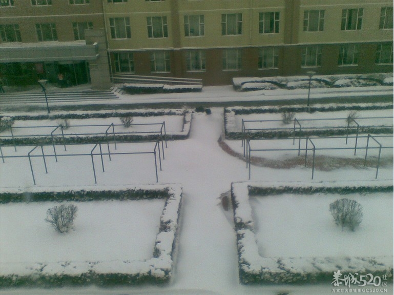 雪中P。。下了一天一夜的雪现在依然在下。。777 / 作者:马路桥~八区 / 帖子ID:58018