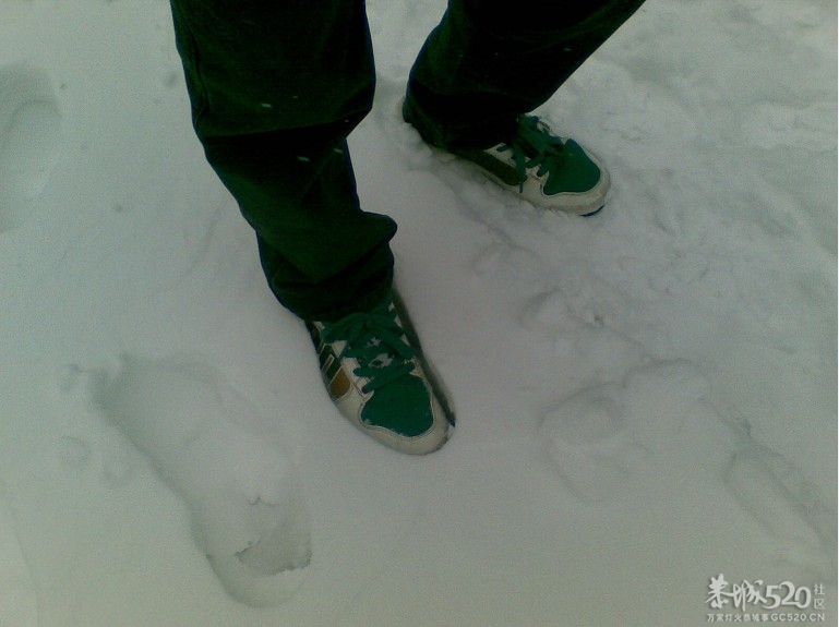 雪中P。。下了一天一夜的雪现在依然在下。。562 / 作者:马路桥~八区 / 帖子ID:58018