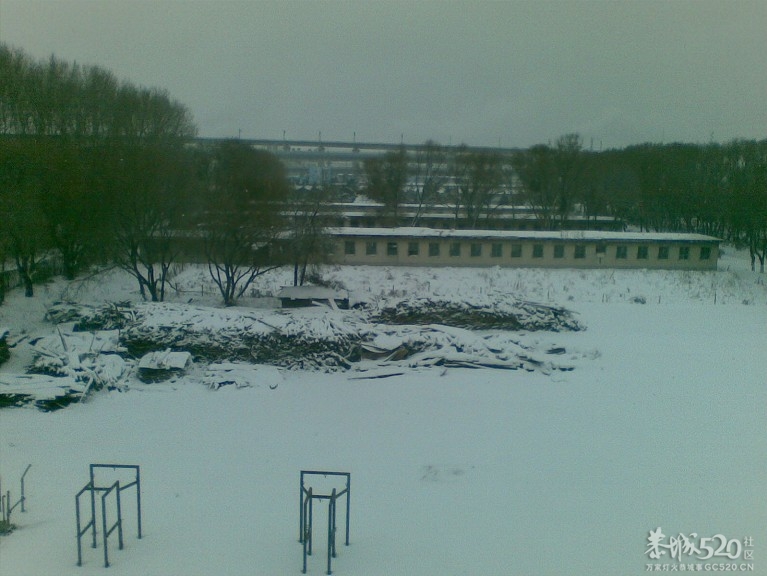 雪中P。。下了一天一夜的雪现在依然在下。。575 / 作者:马路桥~八区 / 帖子ID:58018