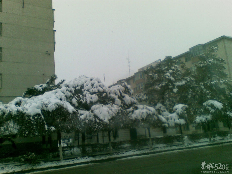 出克了一趟，顺手拍了几张~~放雪971 / 作者:马路桥~八区 / 帖子ID:58094