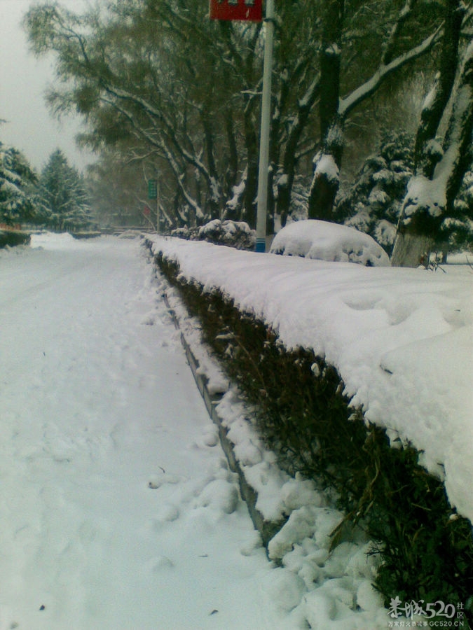 出克了一趟，顺手拍了几张~~放雪560 / 作者:马路桥~八区 / 帖子ID:58094