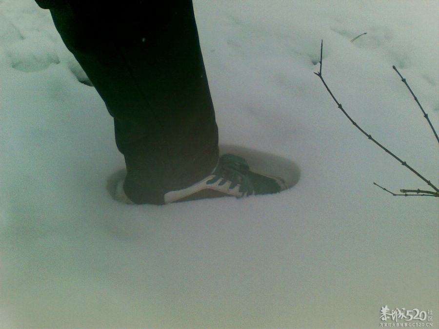出克了一趟，顺手拍了几张~~放雪666 / 作者:马路桥~八区 / 帖子ID:58094