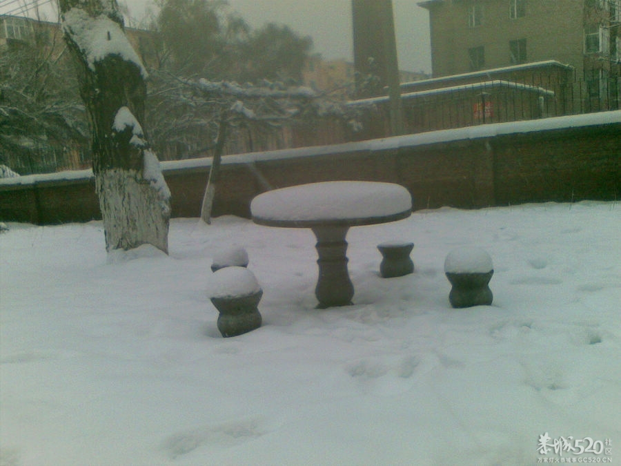 出克了一趟，顺手拍了几张~~放雪544 / 作者:马路桥~八区 / 帖子ID:58094
