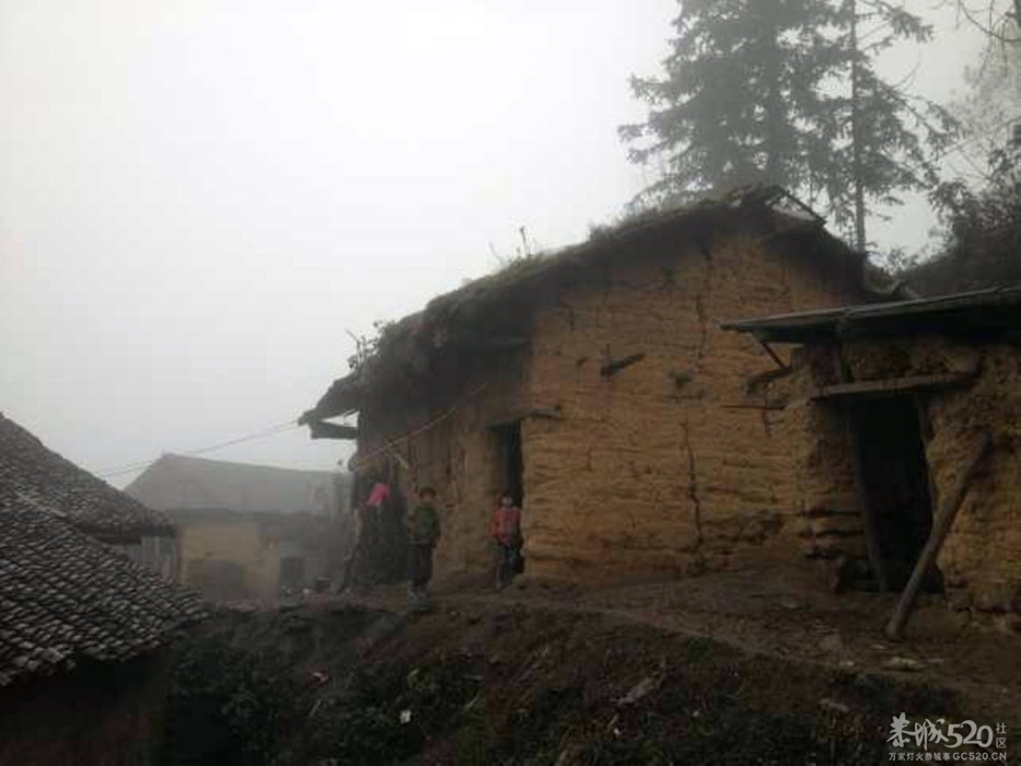 贵州5男童闷死事件：贫寒家境照片曝光964 / 作者:ssql / 帖子ID:58269