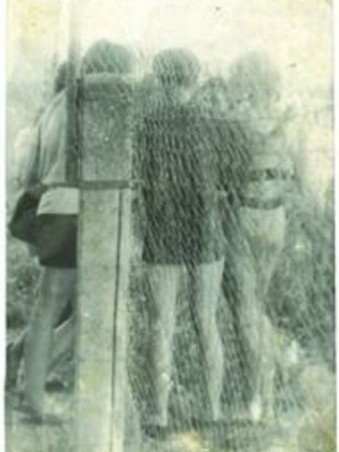 摄之道62 / 作者:195 / 帖子ID:58279