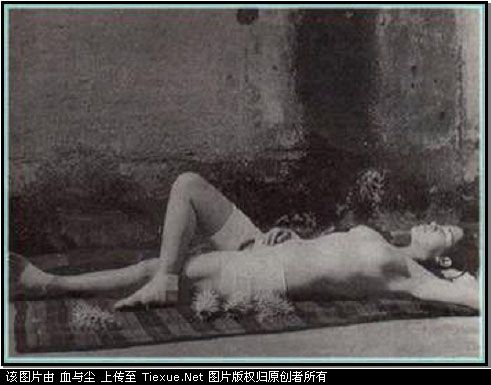 摄之道767 / 作者:195 / 帖子ID:58279