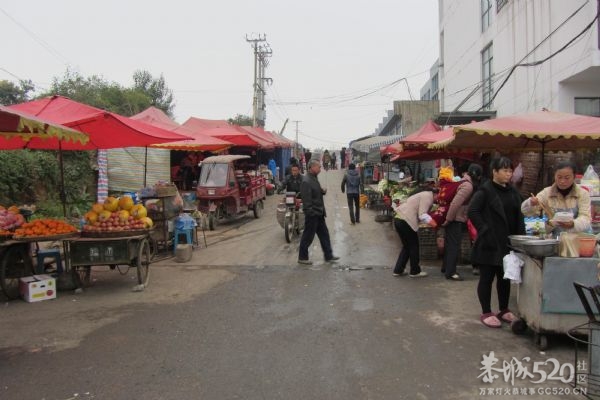 贵州5男童闷死事件：贫寒家境照片曝光981 / 作者:ssql / 帖子ID:58269