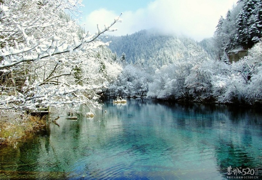 12月--A、B、双线同时出发，尽收四川美景，行得更自由、玩得更深度......638 / 作者:怪兽。 / 帖子ID:58338