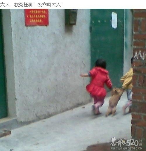 隔壁的小孩好邪恶！！760 / 作者:Crazy藤 / 帖子ID:58319