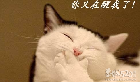 今天碰着狗屎彩了！100 / 作者:平安大叔 / 帖子ID:58347