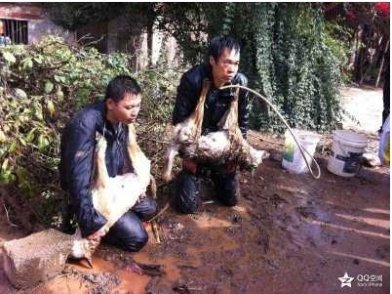 偷狗贼又被KO119 / 作者:﹏′小妖 / 帖子ID:58136