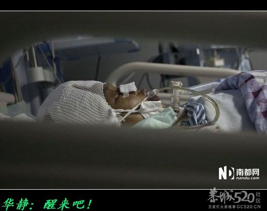17岁少女捐器官催人泪下！780 / 作者:平安大叔 / 帖子ID:58399