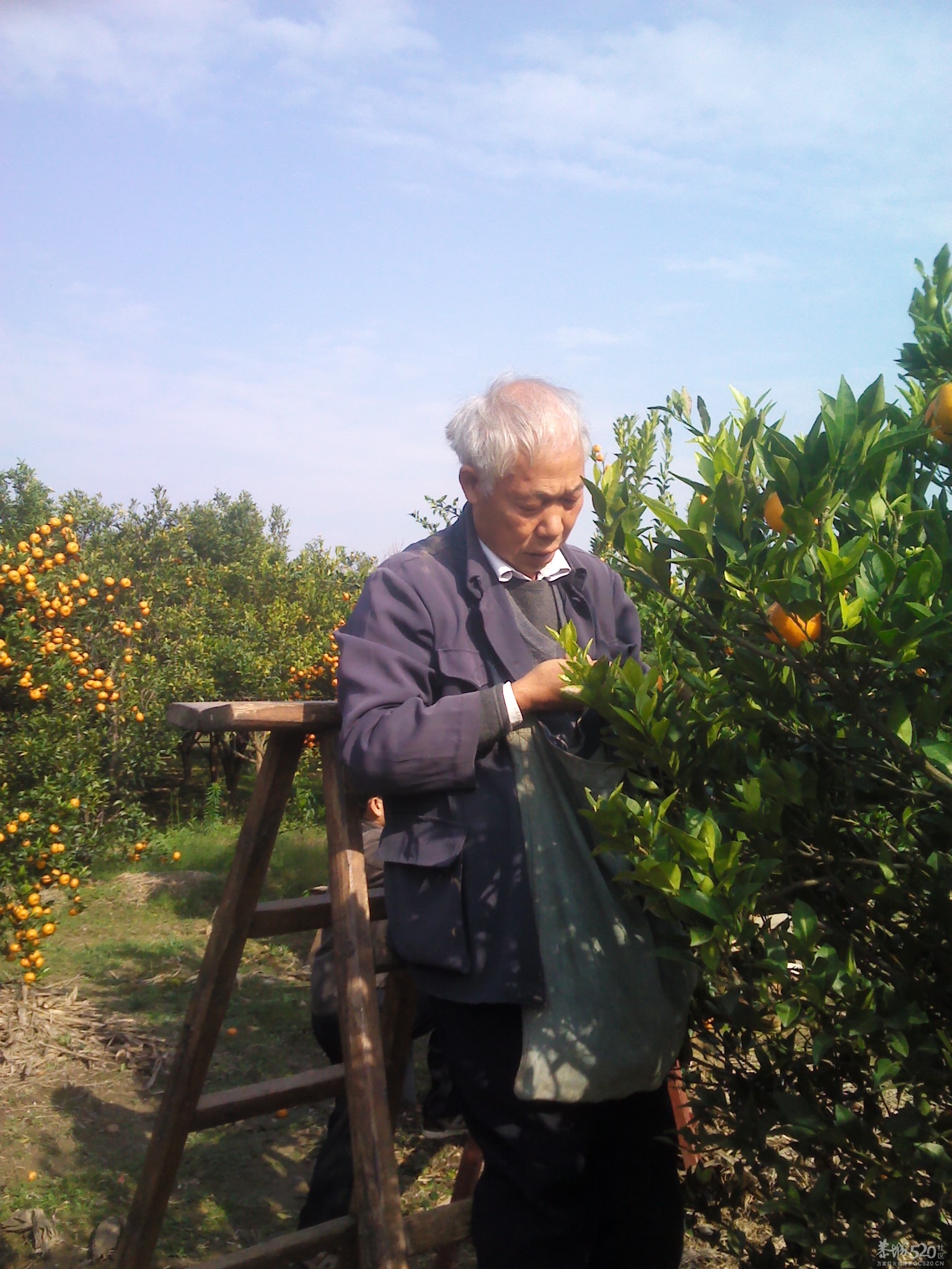 嘿嘿；尽你吃的活657 / 作者:大叔快乐 / 帖子ID:58525