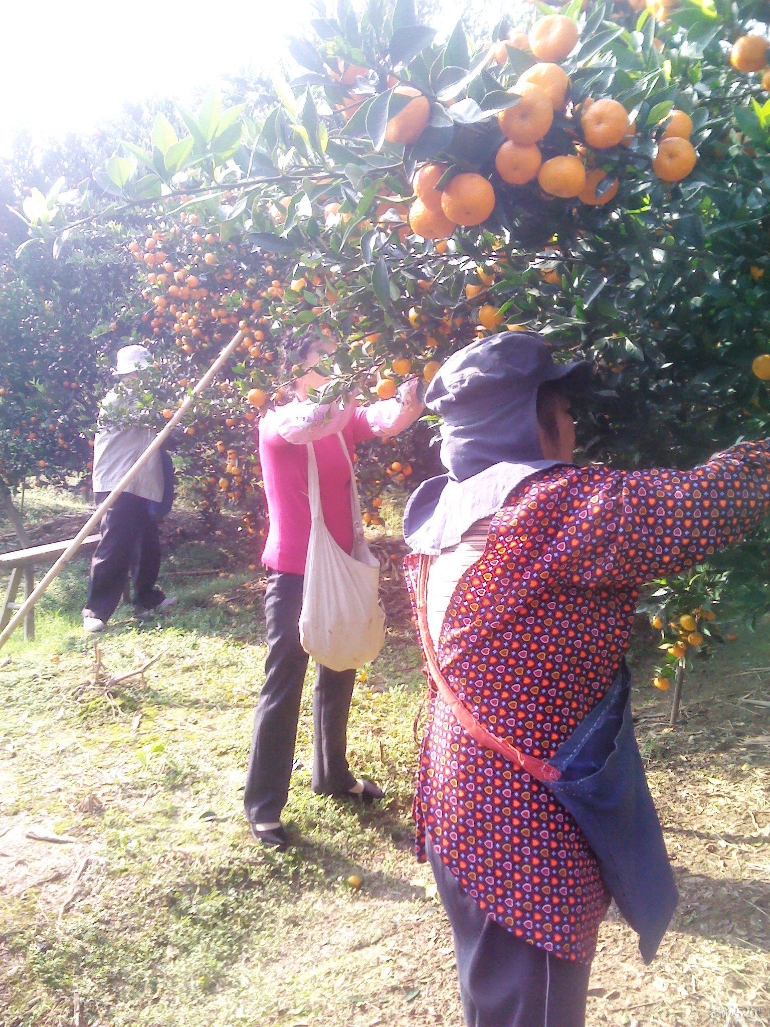 嘿嘿；尽你吃的活810 / 作者:大叔快乐 / 帖子ID:58525