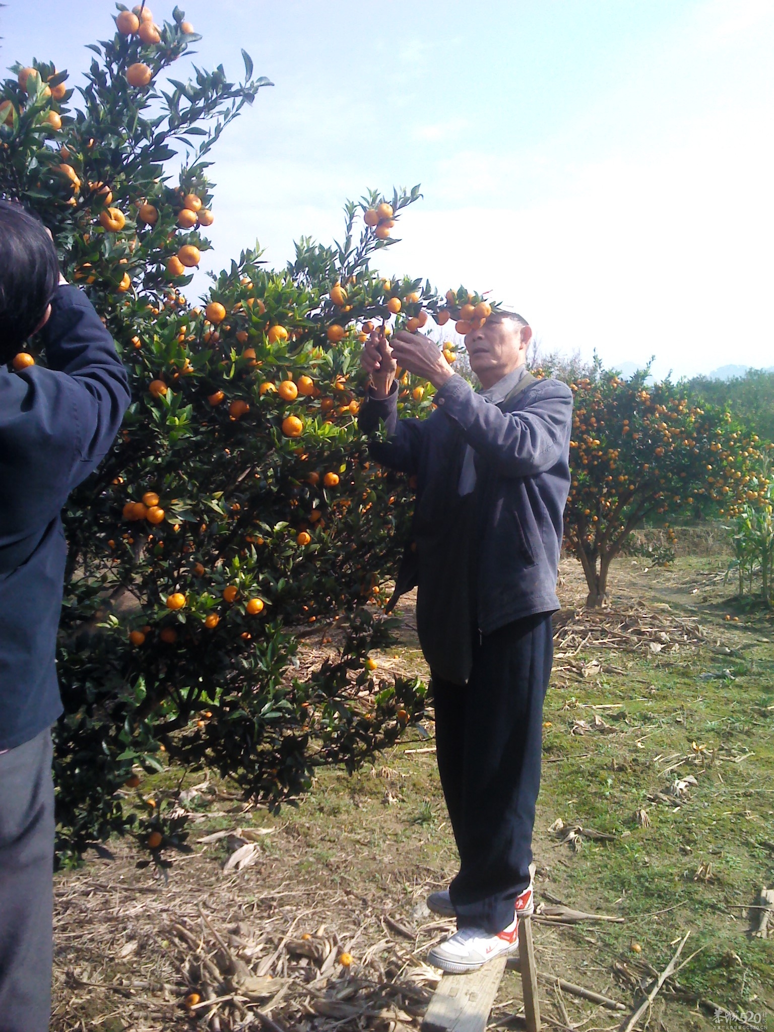 嘿嘿；尽你吃的活174 / 作者:大叔快乐 / 帖子ID:58525