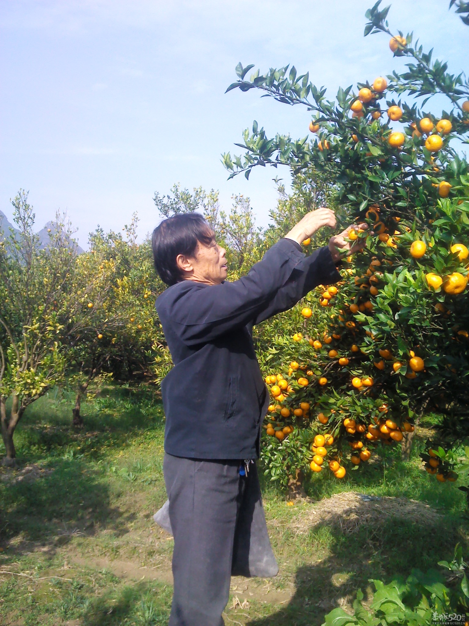 嘿嘿；尽你吃的活482 / 作者:大叔快乐 / 帖子ID:58525