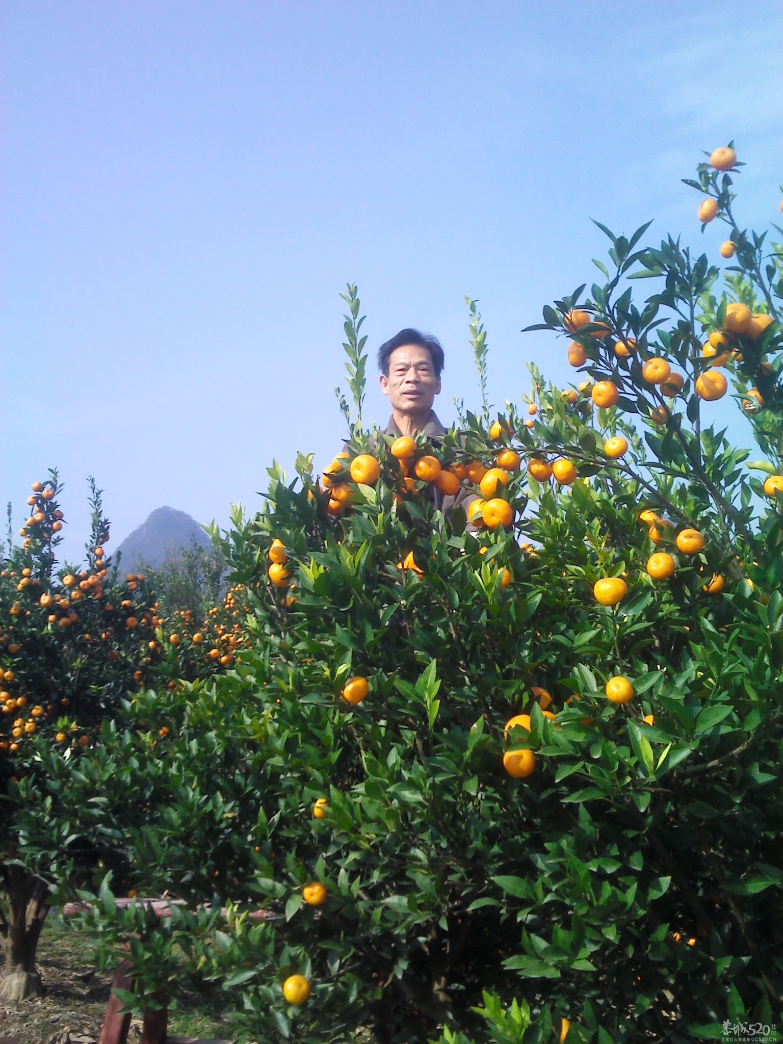 嘿嘿；尽你吃的活377 / 作者:大叔快乐 / 帖子ID:58525