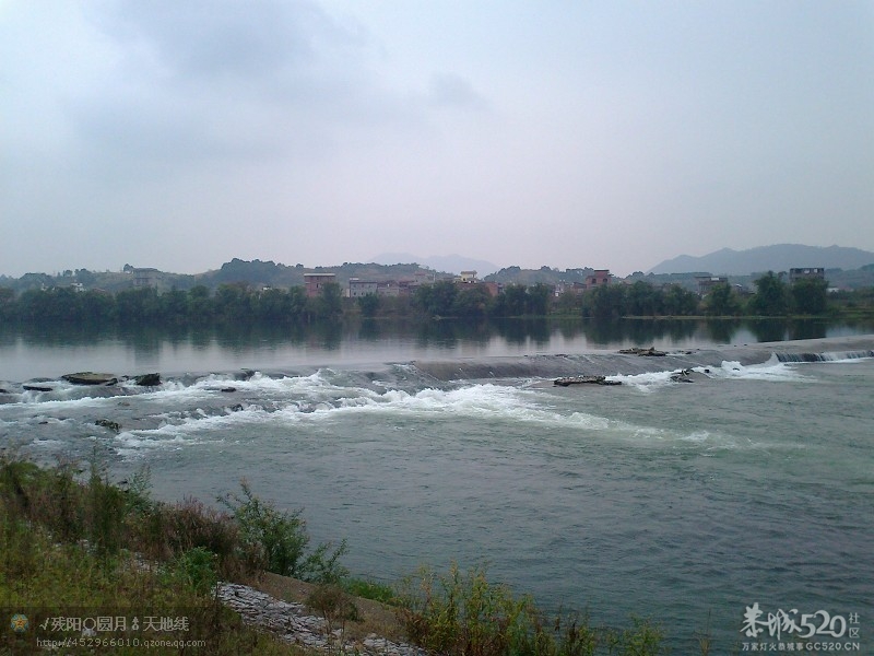 今日签到367 / 作者:乐乐 / 帖子ID:58596