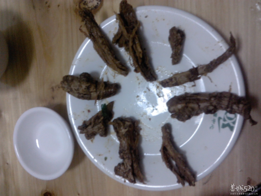 三江大排档，我惹不起我躲得起！673 / 作者:半指温柔沙 / 帖子ID:58603