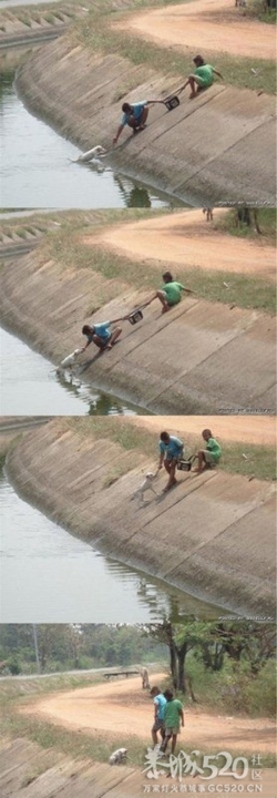 坚持还是放弃，拯救还是放任297 / 作者:237272866 / 帖子ID:58680