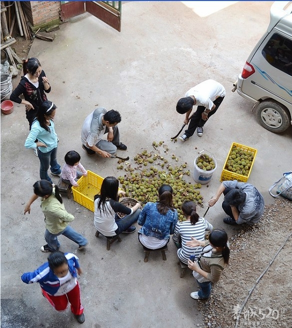 其实是爱你们的883 / 作者:爱哭鬼 / 帖子ID:58684